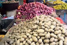 Rising Onion and Potato Prices: Impact on Households
								